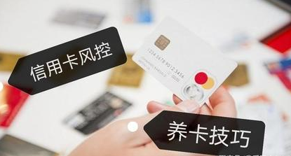 1761633588952612.png 1761633560628.png